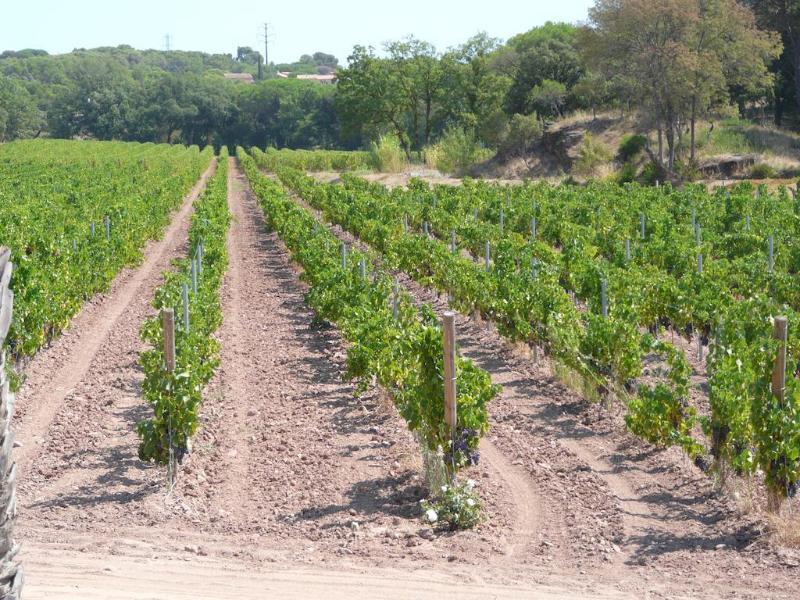 La Bastide Du Clos Des Roses - Teritoria Фрежюс Экстерьер фото